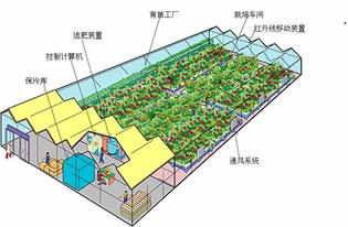 計(jì)算機(jī)控制的簡易植物工廠模型 無公害蔬菜生產(chǎn)新路徑